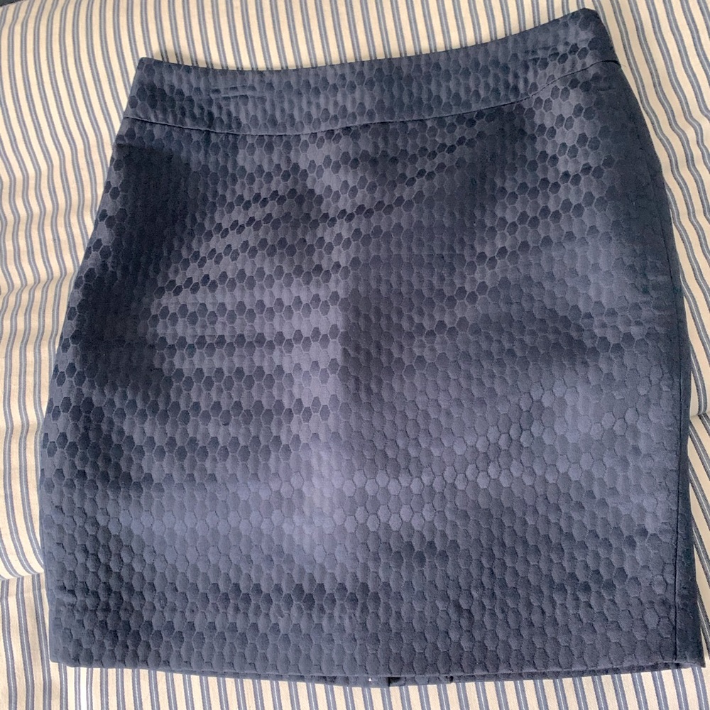 Ann Taylor Loft Skirt